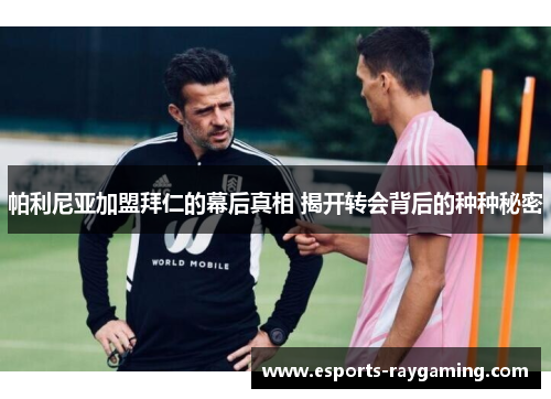 帕利尼亚加盟拜仁的幕后真相 揭开转会背后的种种秘密